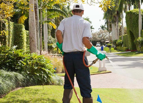 About Mosquero NM Pest Control